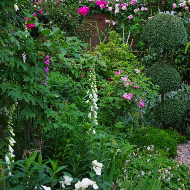 2025 Photo Jardin Michel Jacqueline 2