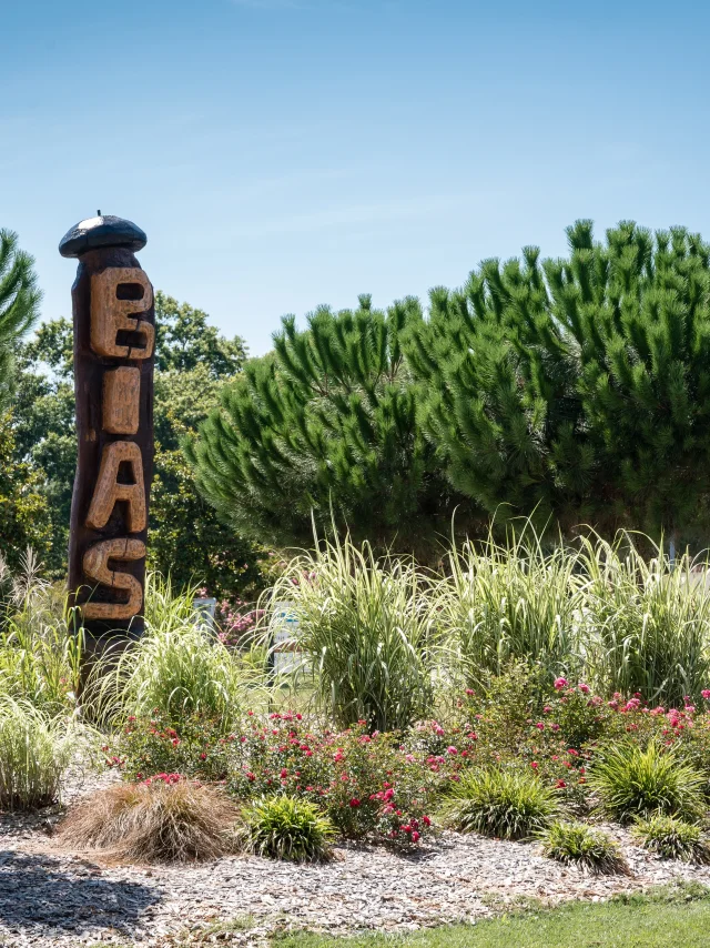 Bias 1045 Yohan Espiaube