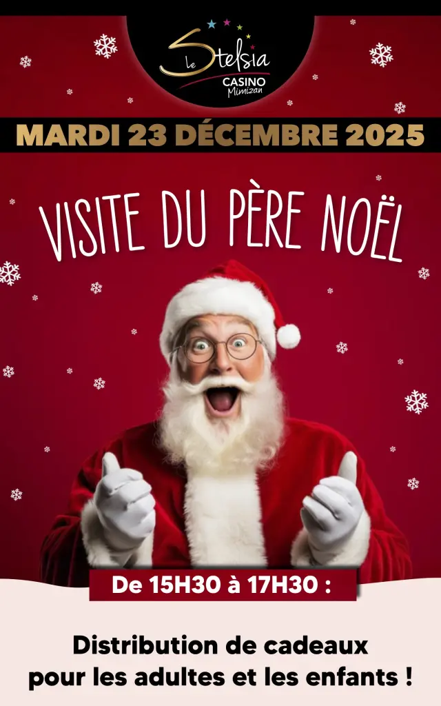 23 12 Stelsia Perenoel