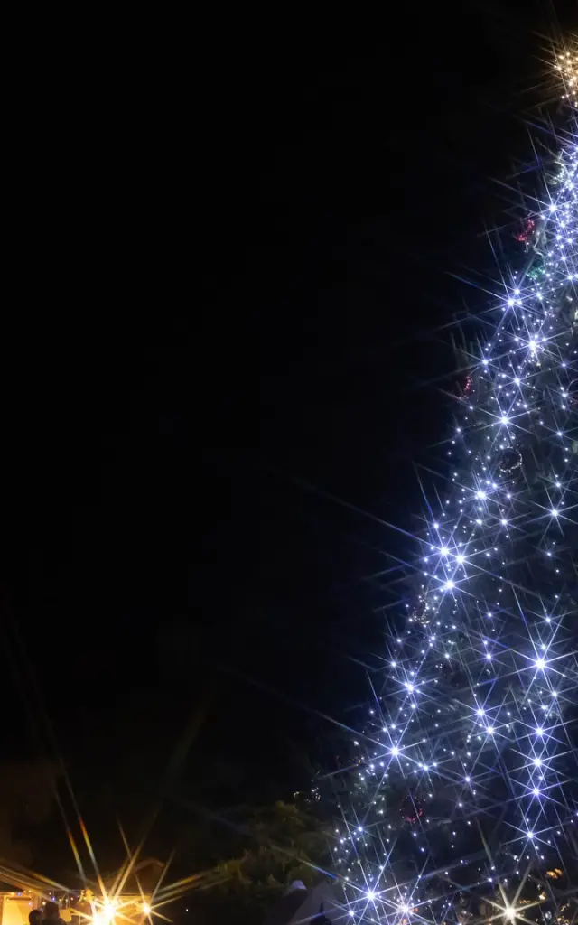 488909757 1091866762961414 1788560107340156924 N