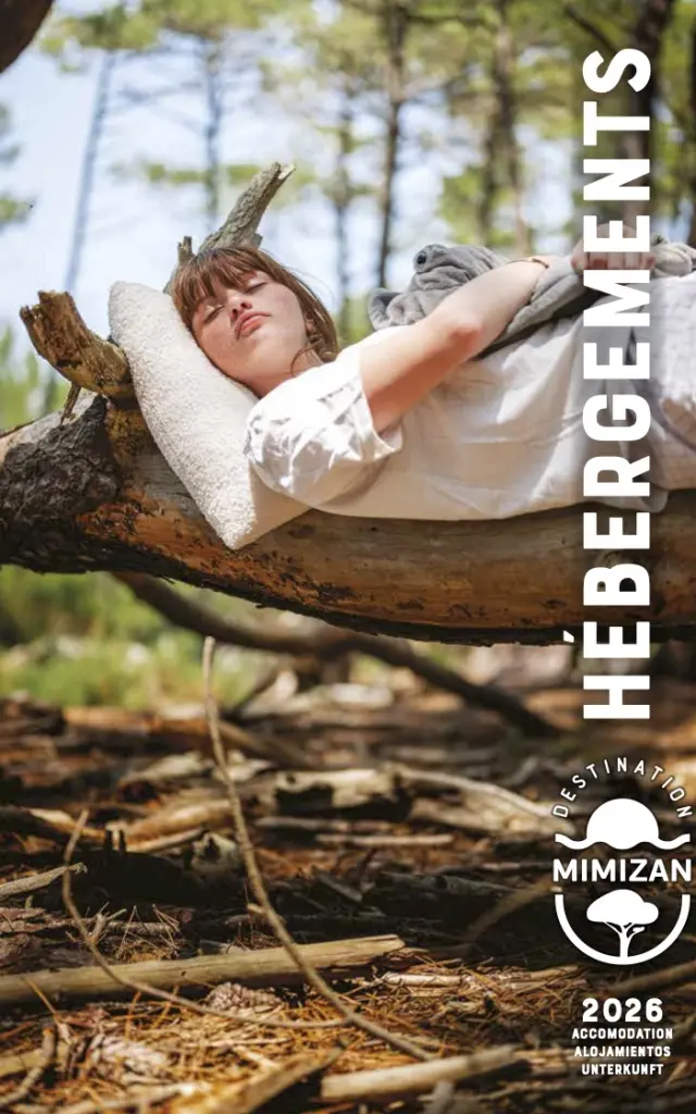 2026 Leitfaden Unterkünfte