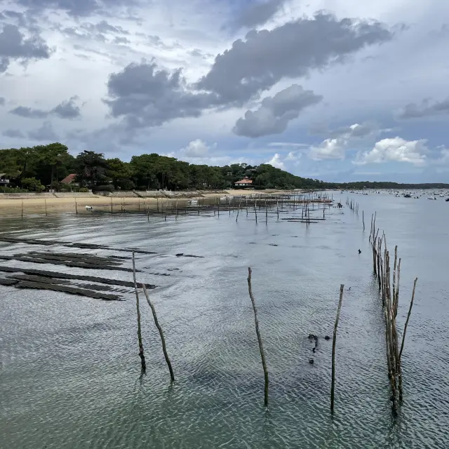 Bassin Arcachon
