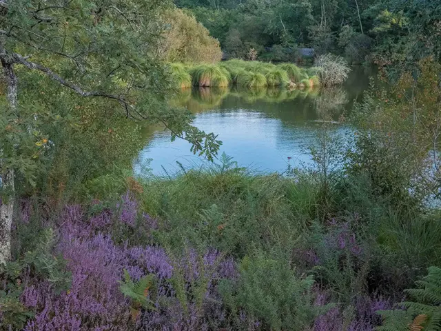 Site des 9 Fontaines à Bostens