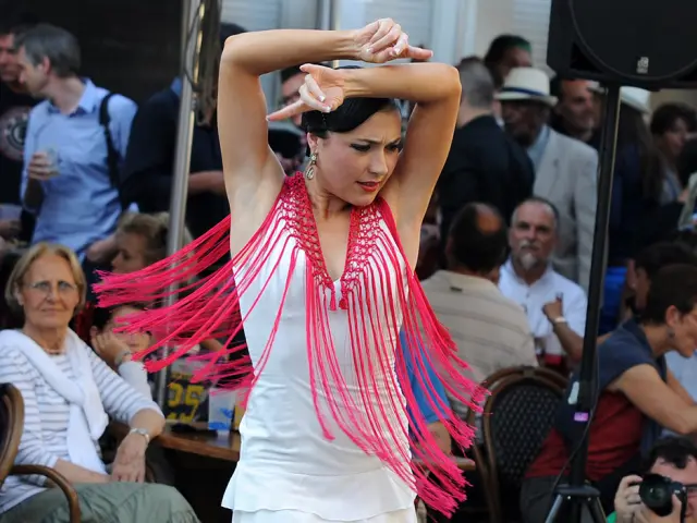 Danseuse de flamenco lors du Festival Arte Flamenco à Mont-de-Marsan