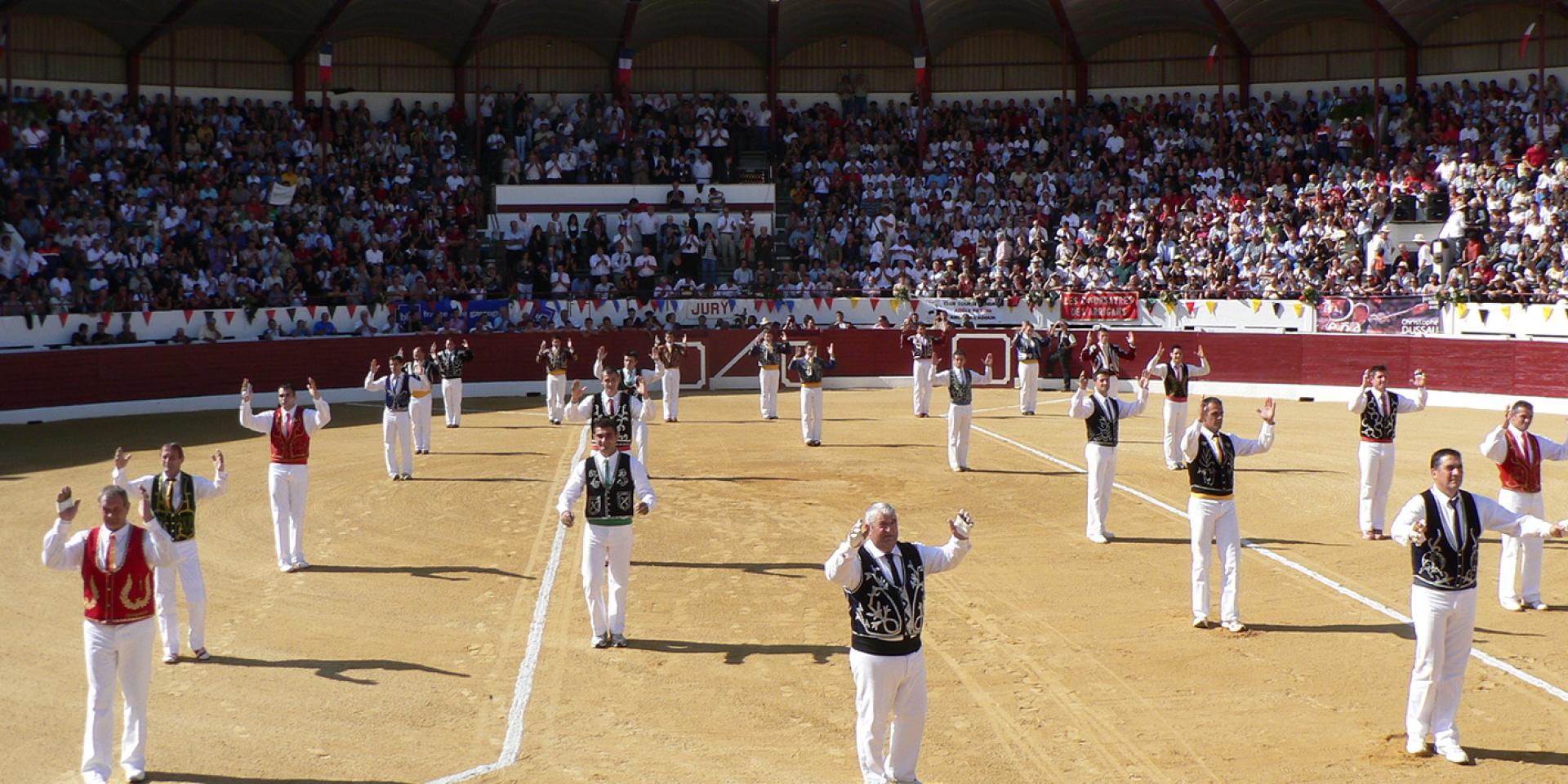 Début de course landaise