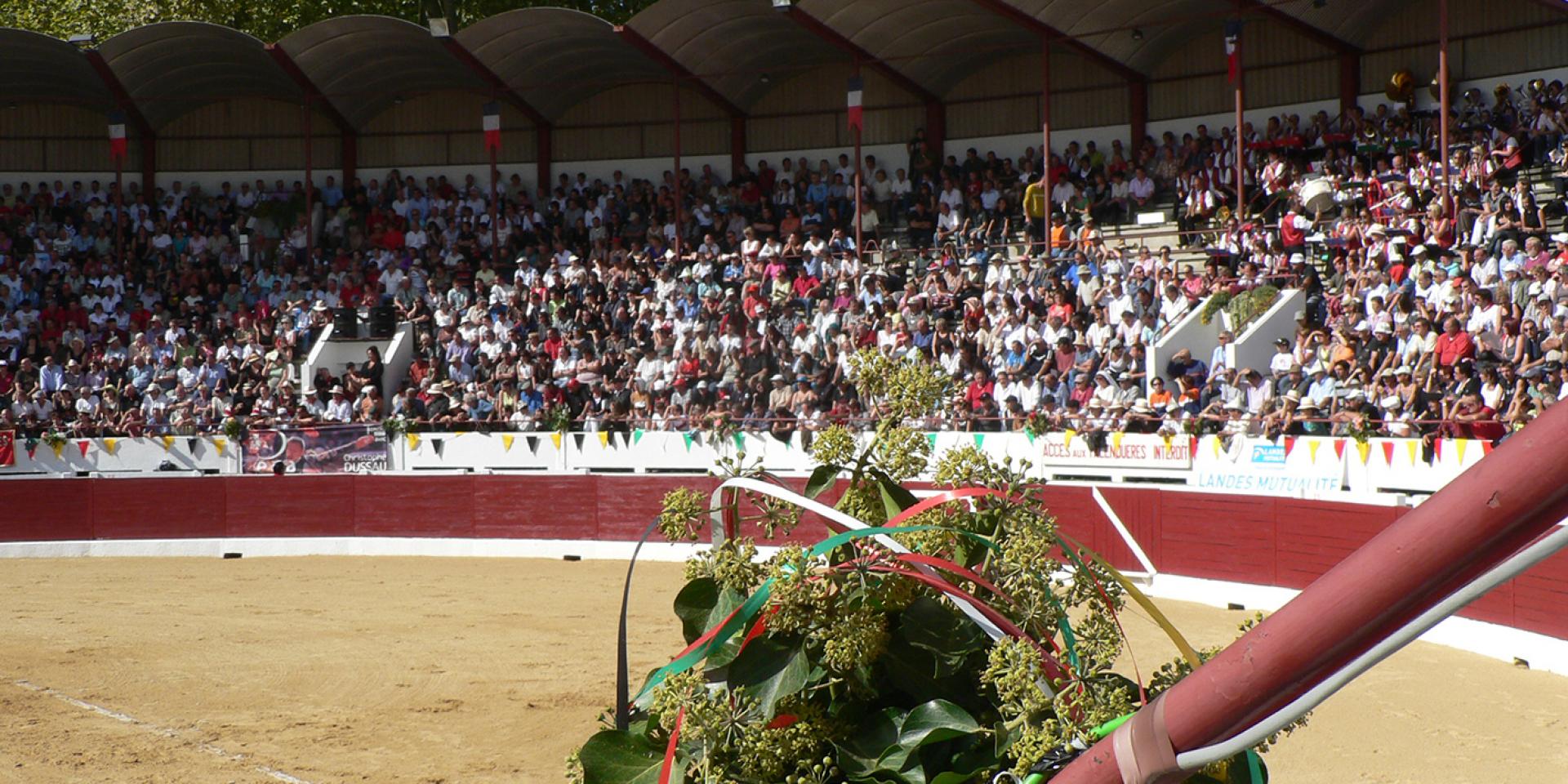 Arènes de course landaise