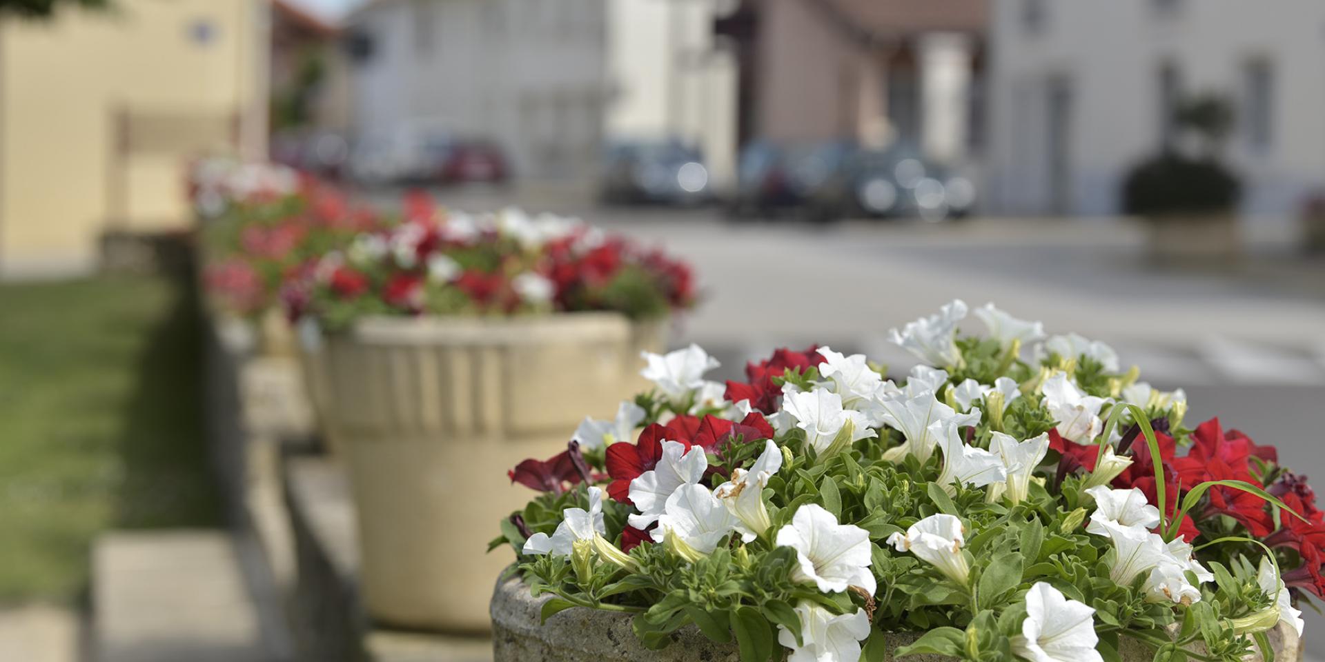 Mairie de Campagne