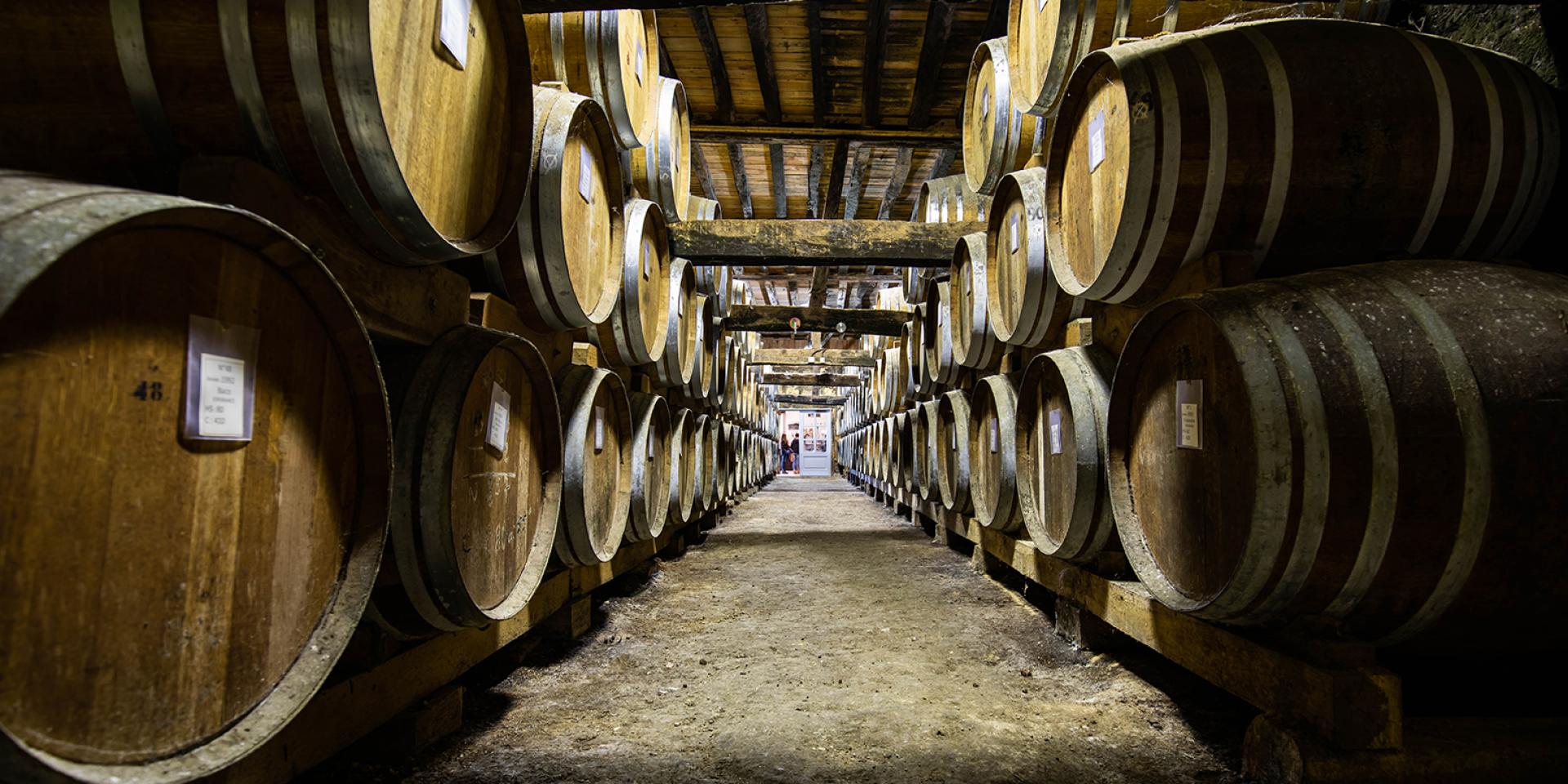 Domaine D'espérance