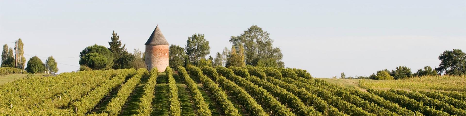Domaine De Laballe
