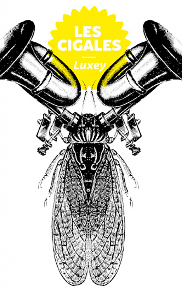 Logo Luxey