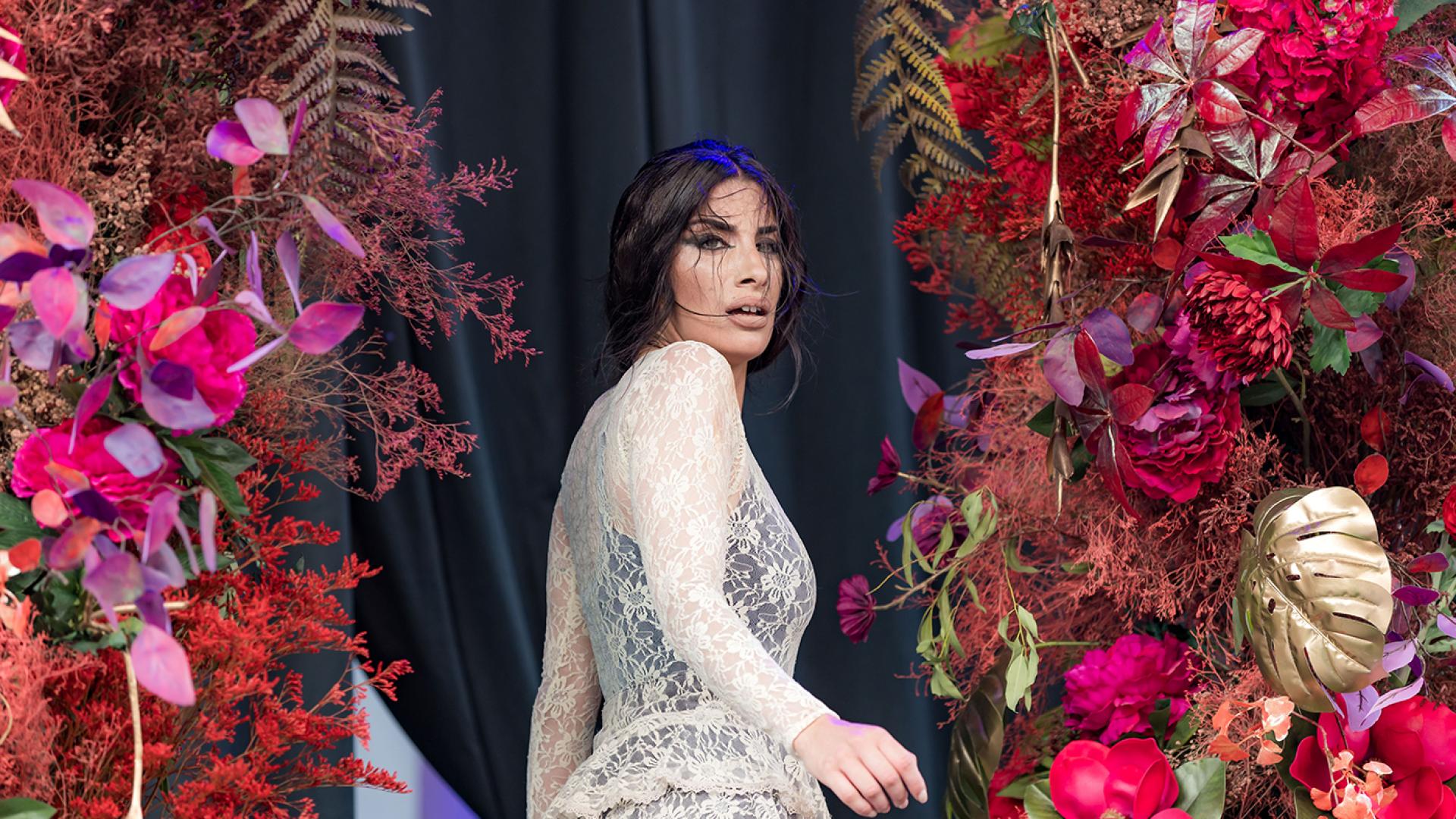 Festival Arte Flamenco