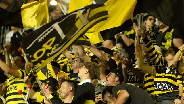 Supporters du Stade Montois Rugby agitant des drapeaux jaune et noir