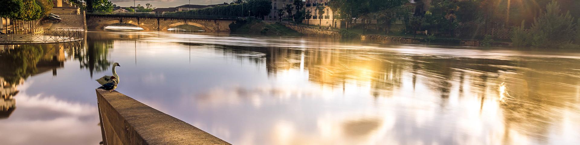 La confluence