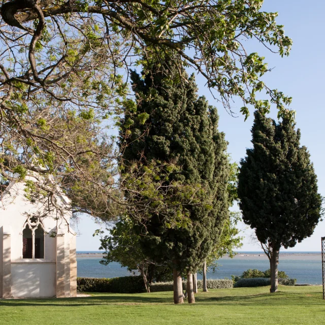 Domaine Des Moures