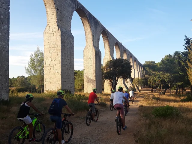Sebecobike