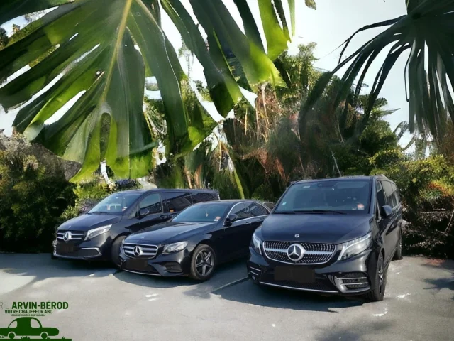 Votre Chauffeur Abc Conducteur Eco Responsable