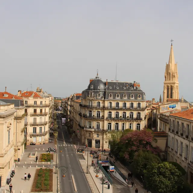 O.sinoquet Ot Montpellier 24