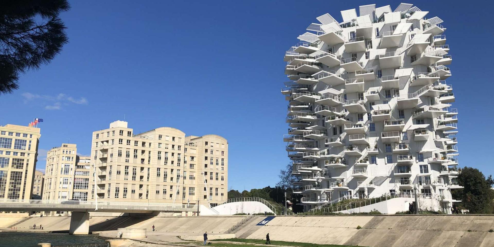 The Arbre Blanc (White tree) | Montpellier Tourism