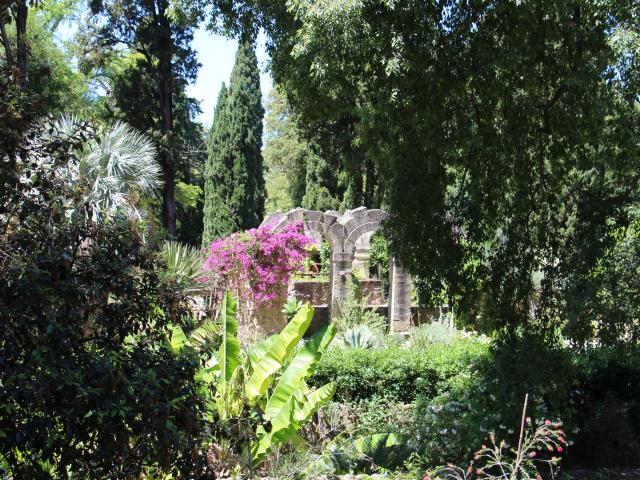Jardindesplantes