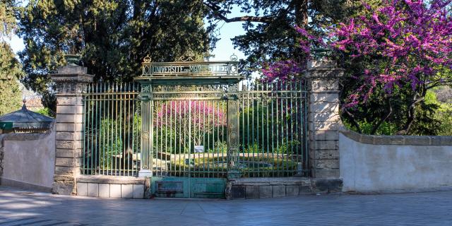 Jardindesplantes_printemps