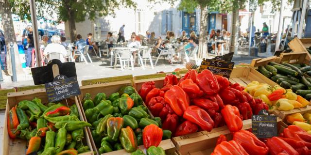 Beaux Arts Montpellier Marché