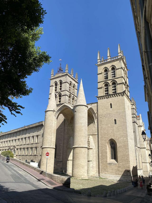 Cathedralestpierre_verticale