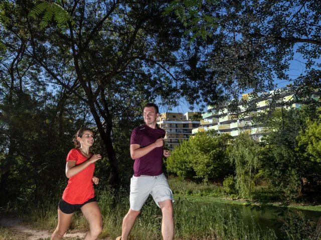 footing_rivesdulez_verticale