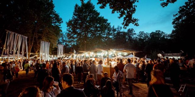 FestivalWildSummer