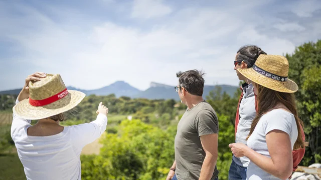 Montpellier Wine Tours