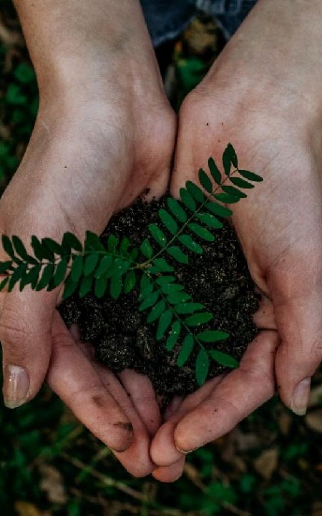 Adoptez Les Bons Comportements Eco Responsables Sur Notre Territoire