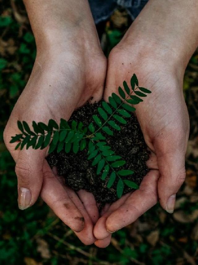 Adoptez-les-bons-comportements-eco-responsables-sur-notre-territoire.jpg