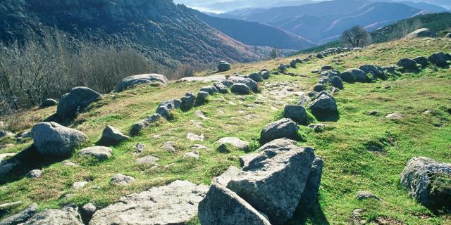 Le-Mont-Lozere©Cevennes-Tourisme-03-min.jpg