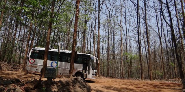 bus-ga44a89a76_1920-min.jpg