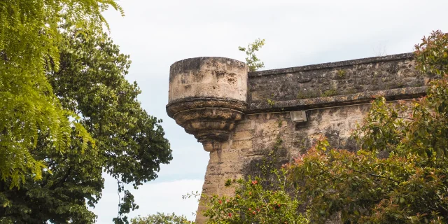 Citadelle_de_montpellier