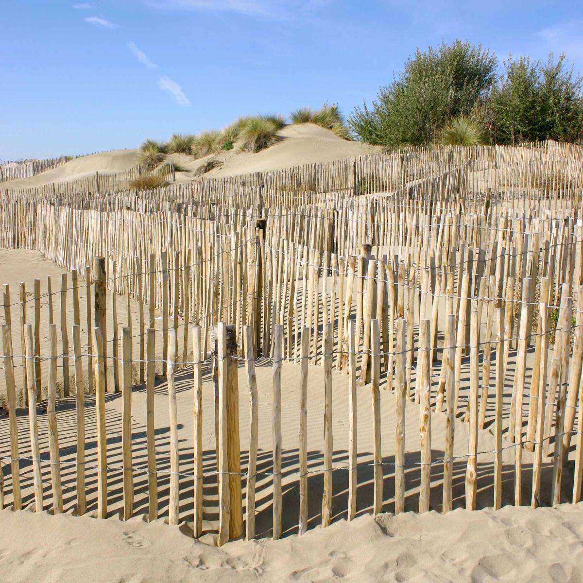 Le Grau du Roi Montpellier Tourism