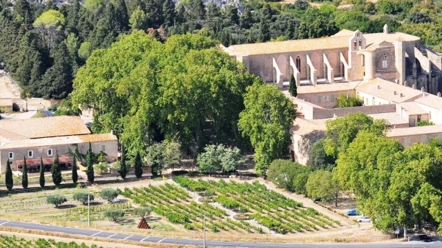 Domaine de Valmagne