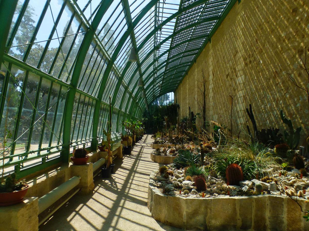 Jardin de plantes ou de cactus signé Madame Alice -b2b main image 1