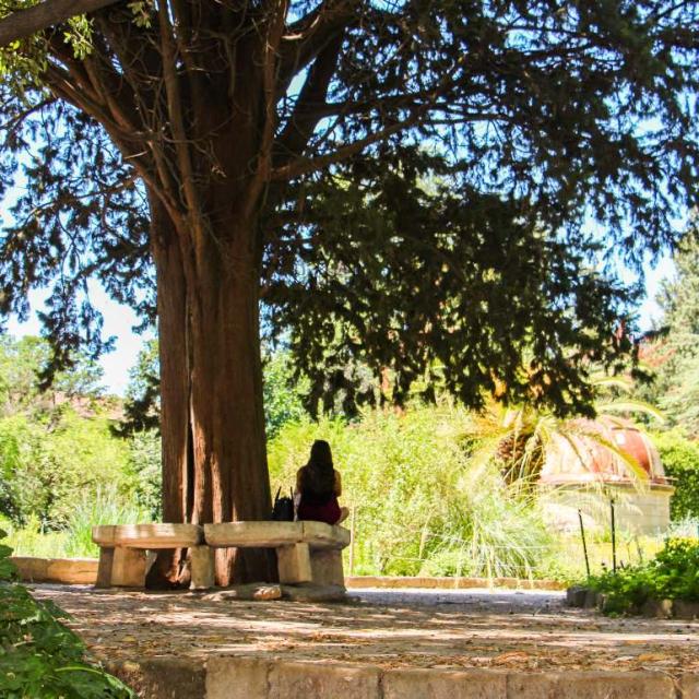 Jardin Des Plantes Montpellier