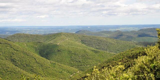 Montagnes En Cevennes