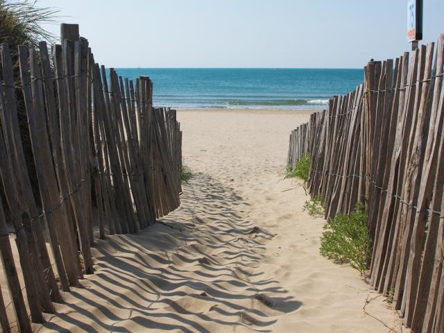 Plage Barriere Bois