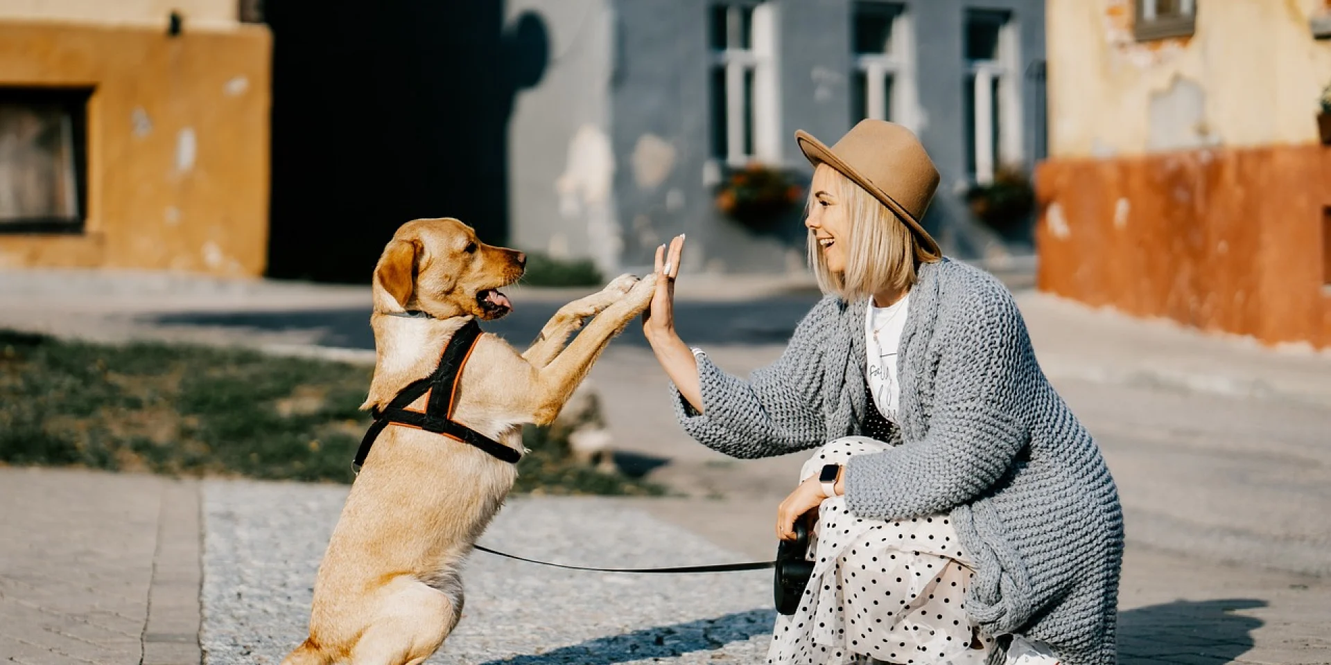 Dogfriendly_sejour