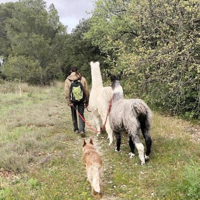 Lamadoue_balade_insolite