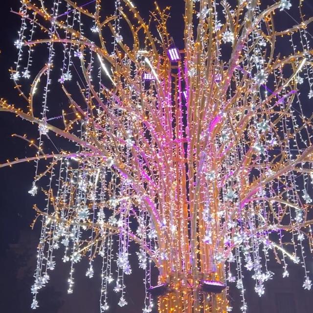 Illuminations2023_sapin_prefecture
