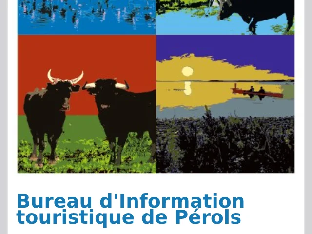 Bit Perols Affichette1