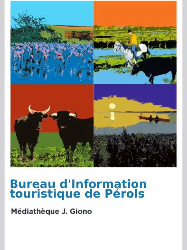 Bit Perols Affichette1