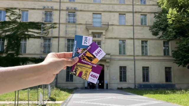 Citycard2025 Museefabre