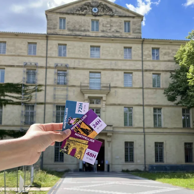 Citycard2025 Museefabre