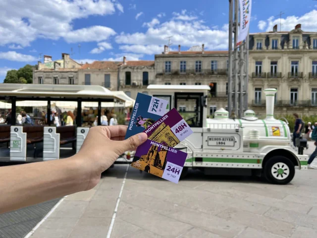 Citycard2025 Petittrain