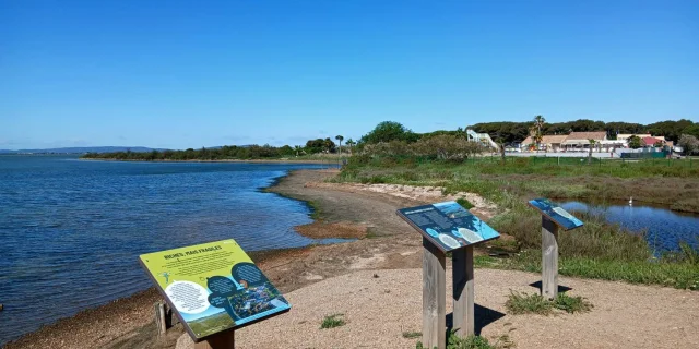 Etang De Perols2