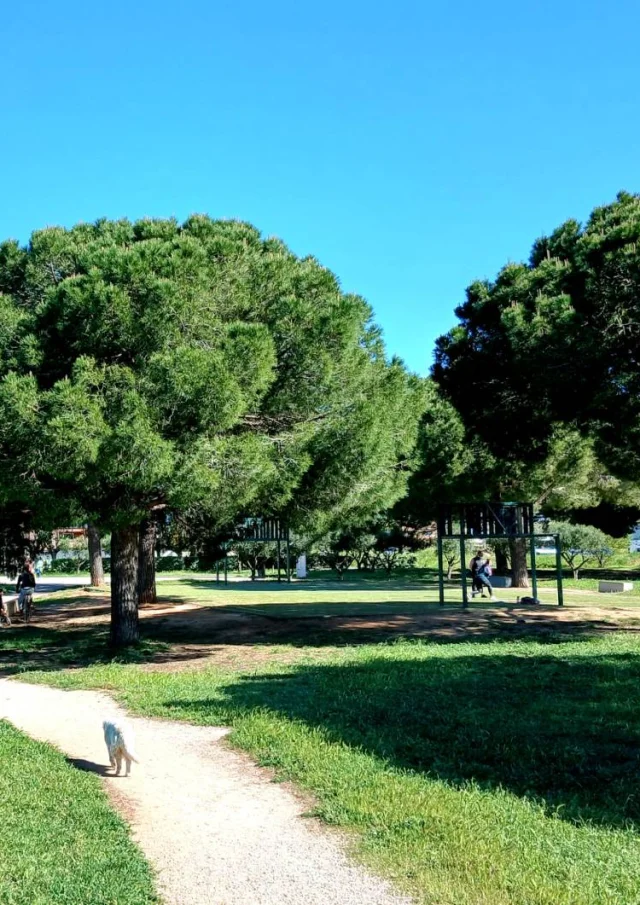 Etang De Perols3